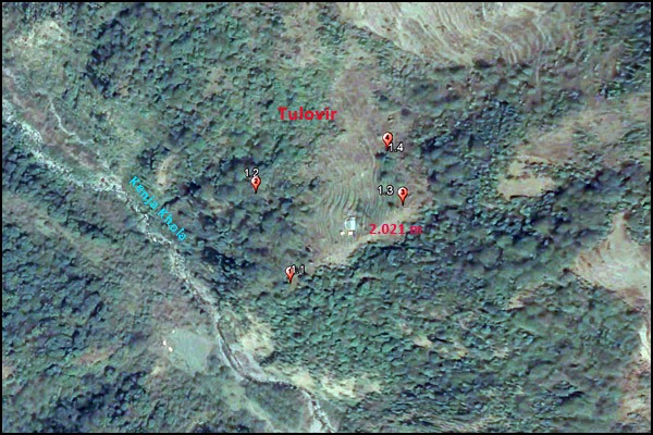 Tulovir tea garden